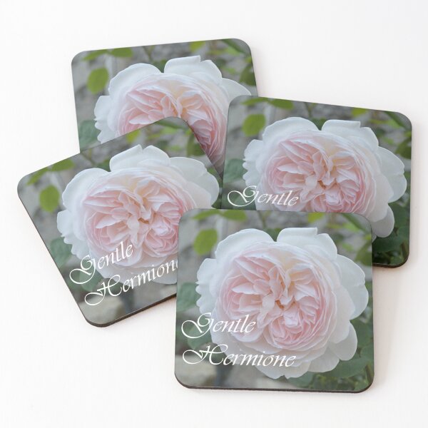 Item preview, Gentle Hermione - David Austin Rose from Jardin de la Maison Rose designed and sold by JacquiRose23.