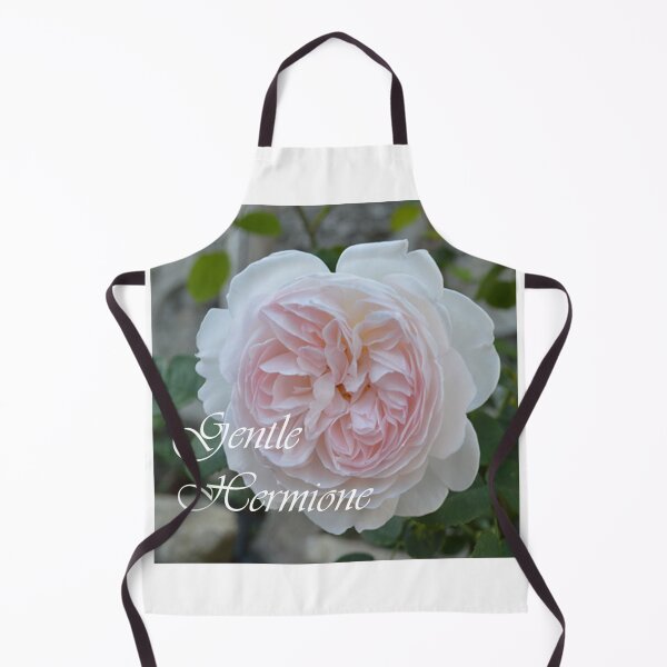 Item preview, Gentle Hermione - David Austin Rose from Jardin de la Maison Rose designed and sold by JacquiRose23.