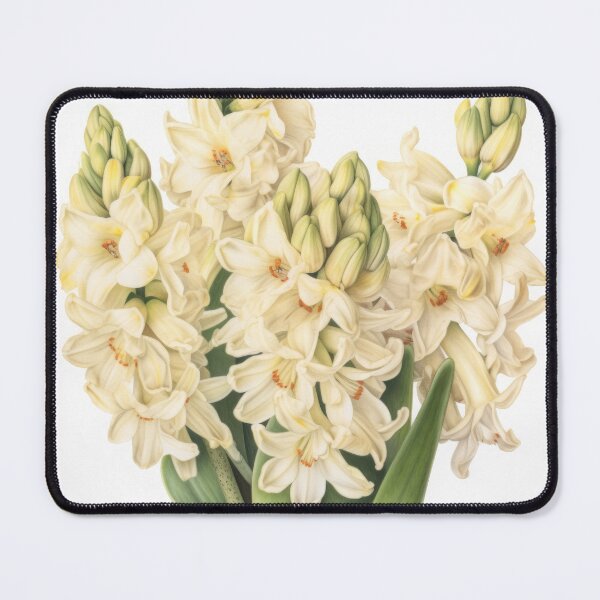 Item preview, Cream Hyacinth designed and sold by Vanover Designs.