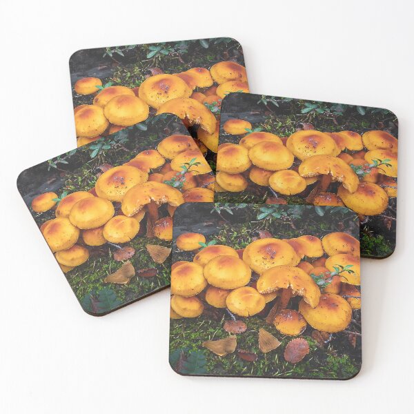 Item preview, Orange mushrooms in patagonia forest, ushuaia, argentina designed and sold by DFLC Prints.