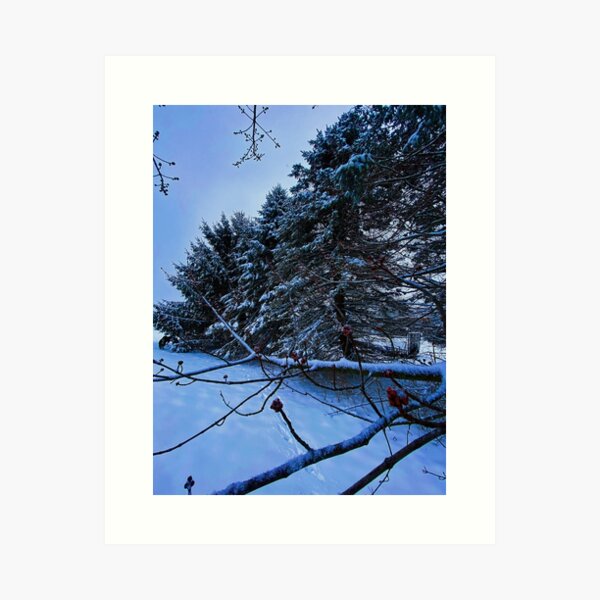 Item preview, snow picture designed and sold by Taylor-Nicole.