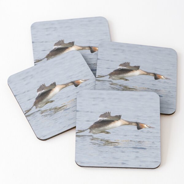Item preview, Great Crested Grebe designed and sold by LaurenTucker.