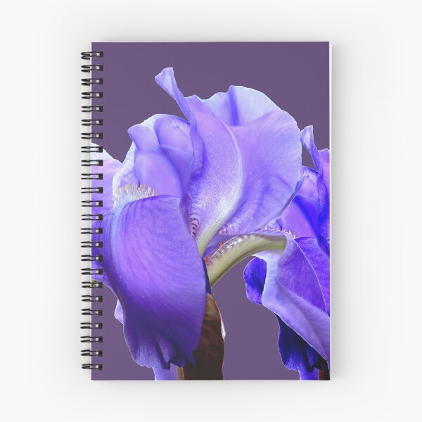 Aperçu de l'œuvre Trio Genre Iris Violet créée et vendue par BostonArcImage.
