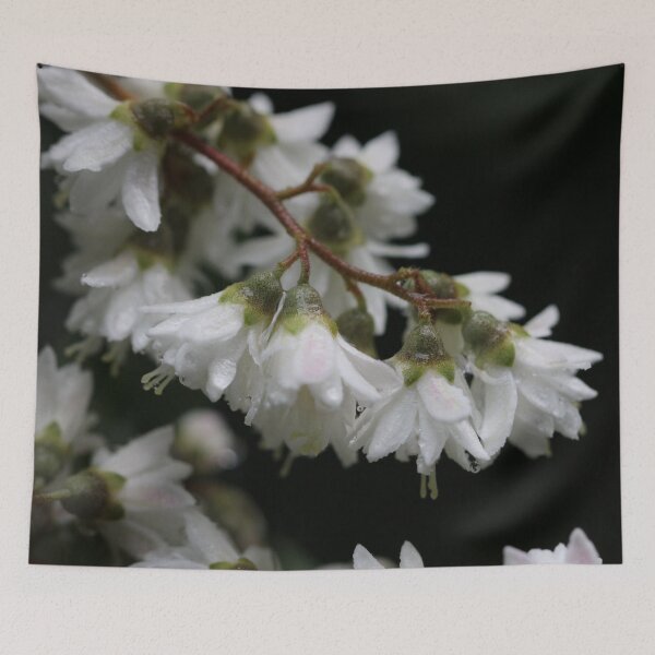 Item preview, Deutzia designed and sold by cuprum.