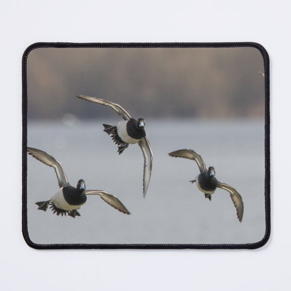 Item preview, Tufted Duck designed and sold by LaurenTucker.
