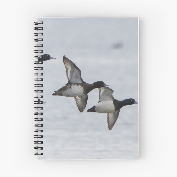 Item preview, Tufted Duck designed and sold by LaurenTucker.