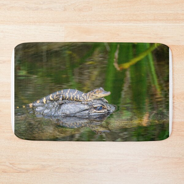 Item preview, Lets go for a ride | Alligators | Everglades National Park designed and sold by TinyDinoDesigns.