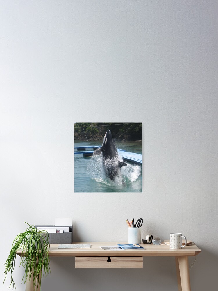 Thumbnail 2 of 3, Poster, Whale designed and sold by Zeus-Designer.