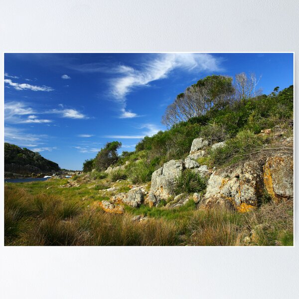 Item preview, Mimosa Rocks National Park designed and sold by Darren Stones.