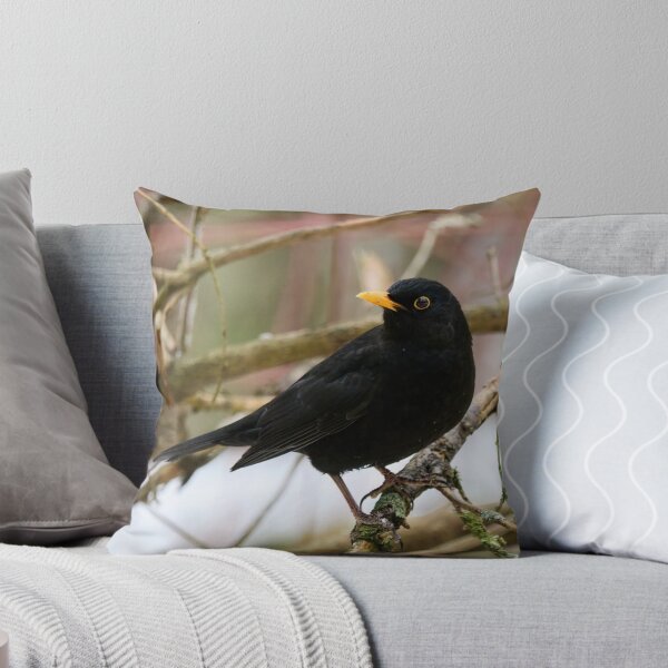 Item preview, Black is black. Eurasian blackbird designed and sold by Jouko Lehto Photography.
