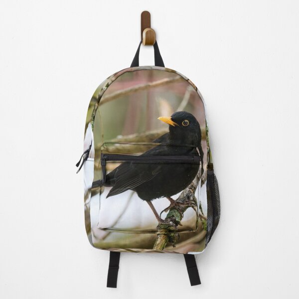 Item preview, Black is black. Eurasian blackbird designed and sold by Jouko Lehto Photography.