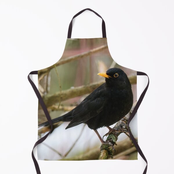 Item preview, Black is black. Eurasian blackbird designed and sold by Jouko Lehto Photography.