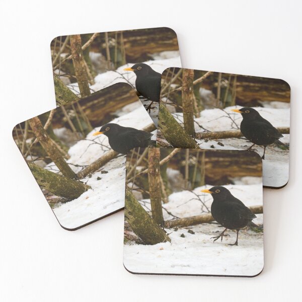 Item preview, Stepping around. Eurasian blackbird designed and sold by Jouko Lehto Photography.