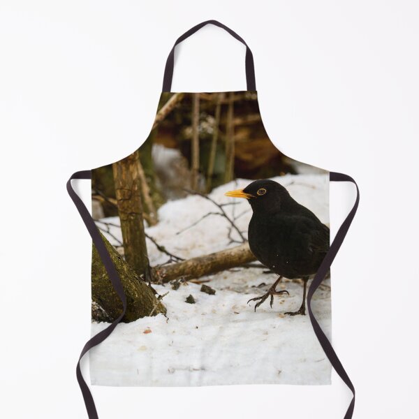 Item preview, Stepping around. Eurasian blackbird designed and sold by Jouko Lehto Photography.