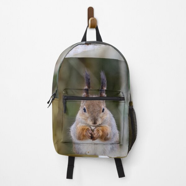 Item preview, Hey you there. Red squirrel designed and sold by Jouko Lehto Photography.