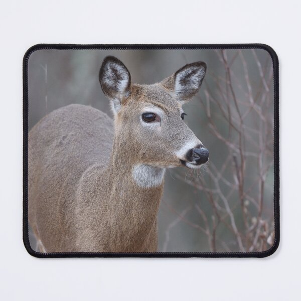 Item preview, A Walk in the Woods designed and sold by LisaNaturePhoto.
