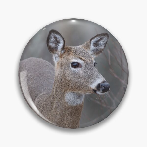 Item preview, A Walk in the Woods designed and sold by LisaNaturePhoto.