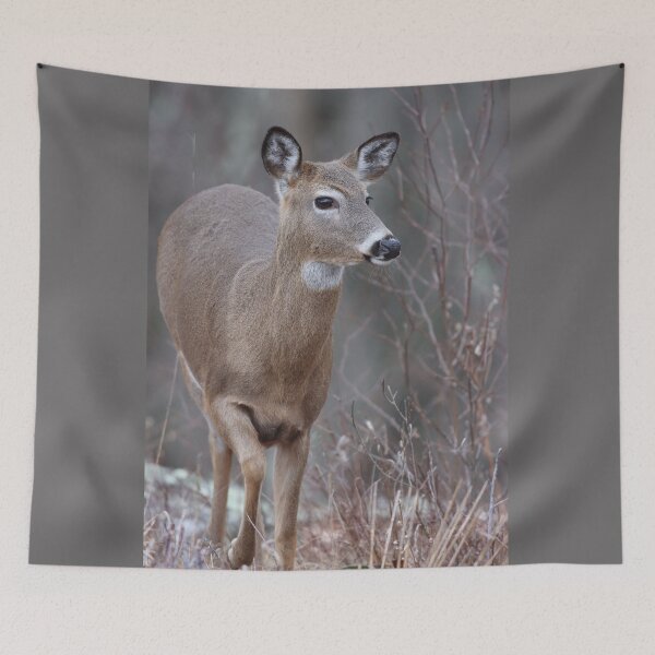 Item preview, A Walk in the Woods designed and sold by LisaNaturePhoto.