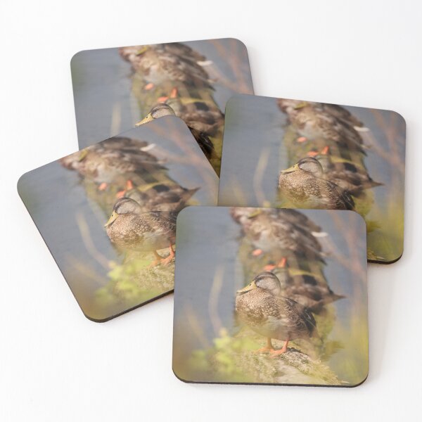 Item preview, Sitting Pretty with the Gang designed and sold by fototaker Tony.