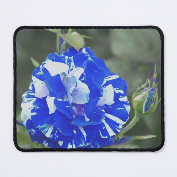 Item preview, Rock N' Roll came from the Blues designed and sold by Robert Armendariz.