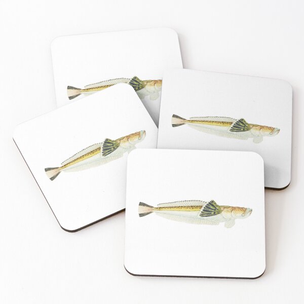 Item preview, Antique Fish Leptoscopus Macropygus Estuarine Stargazer Vintage Fish designed and sold by AmethystMurad.