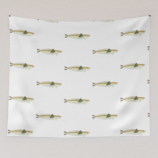 Item preview, Antique Fish Leptoscopus Macropygus Estuarine Stargazer Vintage Fish designed and sold by AmethystMurad.