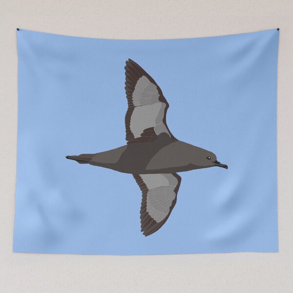 Item preview, Short-tailed Shearwater by BennuBirdy designed and sold by BennuBirdy.