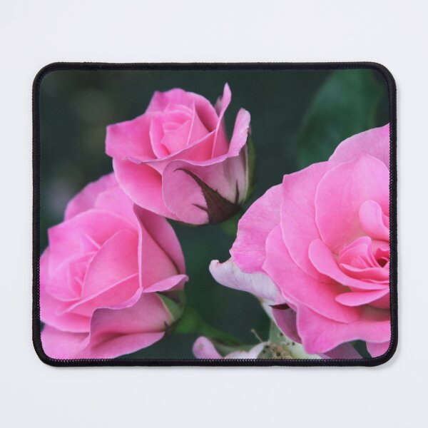 Item preview, Sweet Inspiration Floribunda Rose designed and sold by Robert Armendariz.