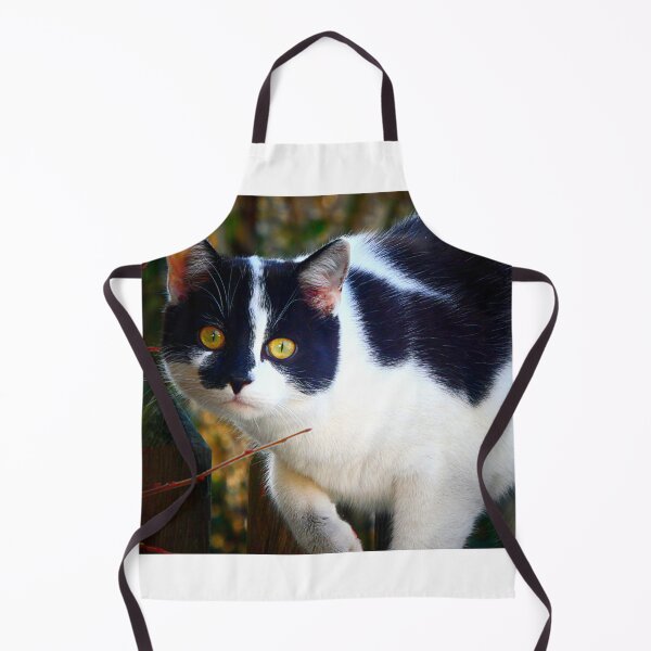 Item preview, Curious kitty designed and sold by angel1.