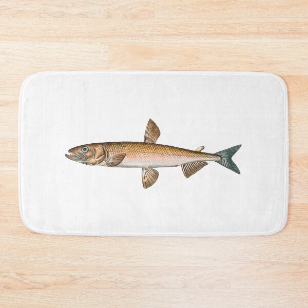 Item preview, Smelt Salmo Eperlano-Marinus Vintage Fish designed and sold by AmethystMurad.