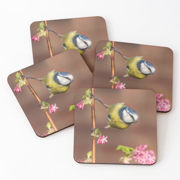 Item preview, Herrerillo común sobre frambuesa floreciente designed and sold by Mart R Porter Nature.