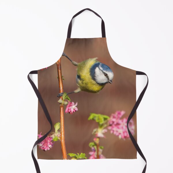 Item preview, Blue tit on Flowering raspberry designed and sold by Mart R Porter Nature.