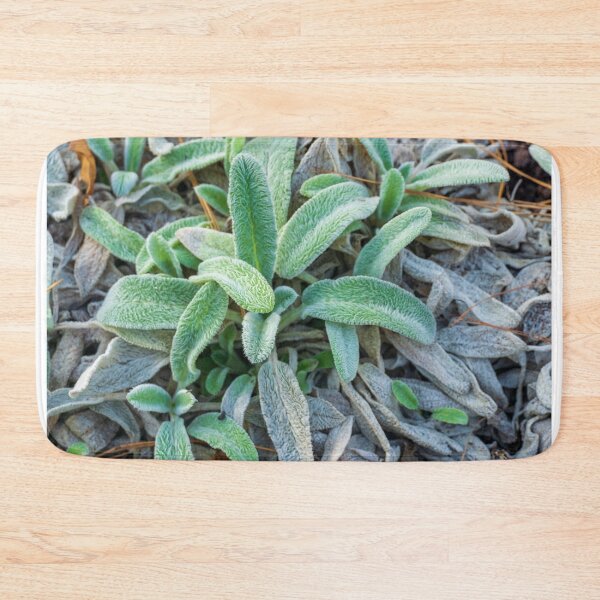 Item preview, Lambs Ear designed and sold by TinyDinoDesigns.