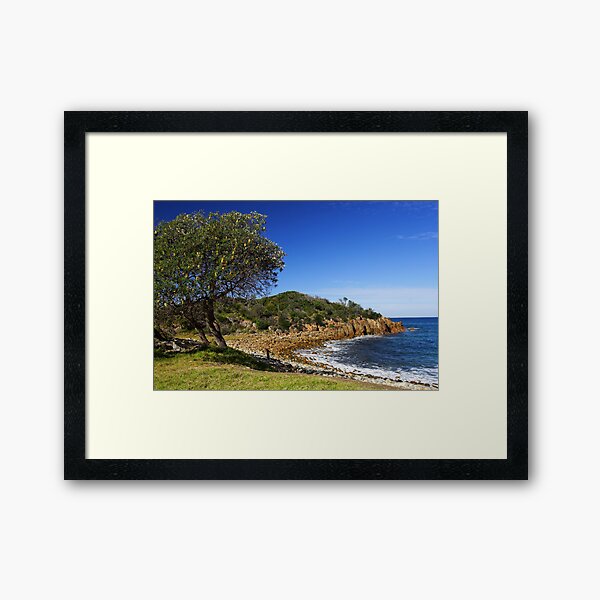 Item preview, Mimosa Rocks National Park designed and sold by Darren Stones.