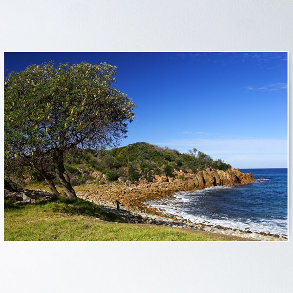 Item preview, Mimosa Rocks National Park designed and sold by Darren Stones.