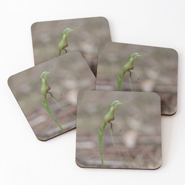Item preview, Pterostylis barbata - Bird Orchid designed and sold by ausnative.