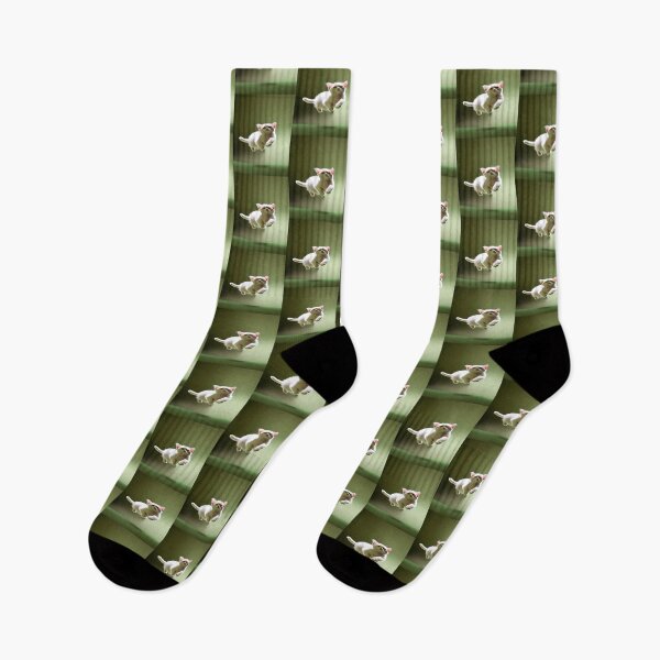 Item preview, Creme Colored Kitten Mid Air Jump with Green Background designed and sold by deniselynnimage.