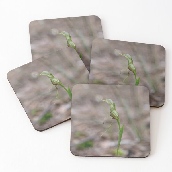 Item preview, Pterostylis barbata - Bird Orchid designed and sold by ausnative.