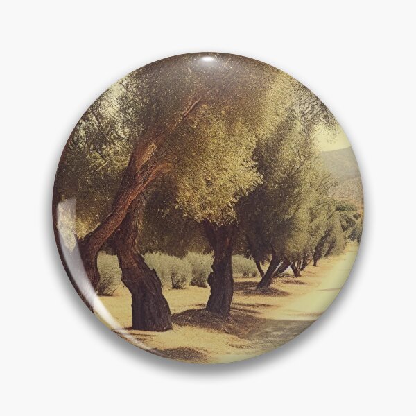 Item preview, Vintage photo Ojai valley olive trees designed and sold by B.B. Knolls.