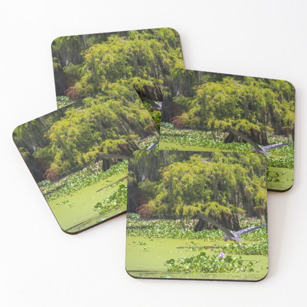Item preview, Bird Flies Low over Louisiana Swamp designed and sold by jrtwynam.