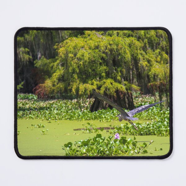 Item preview, Bird Flies Low over Louisiana Swamp designed and sold by jrtwynam.