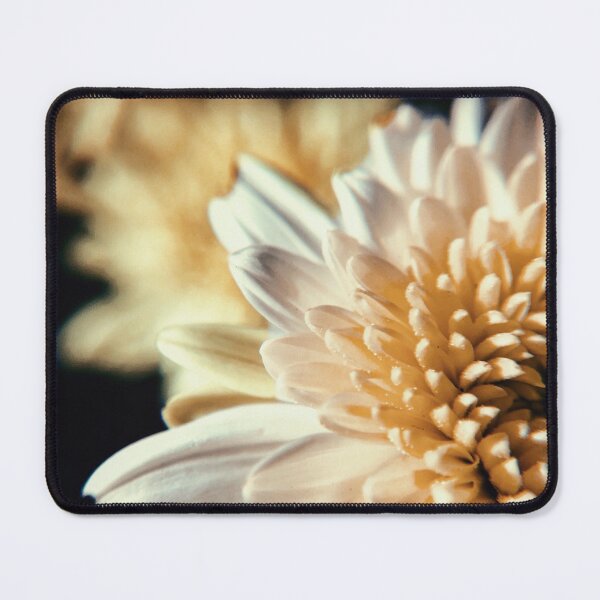 Aperçu de l'œuvre Fleur blanche créée et vendue par Devoncholy.