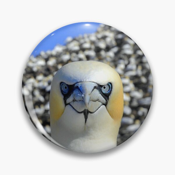 Item preview, How to Bathe a Gannet designed and sold by Vern Tonkin.