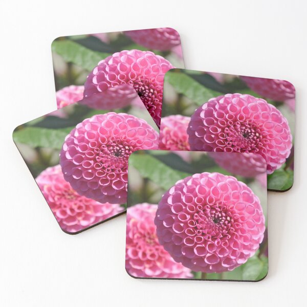 Item preview, Pink Dahlias designed and sold by KirtTisdale.