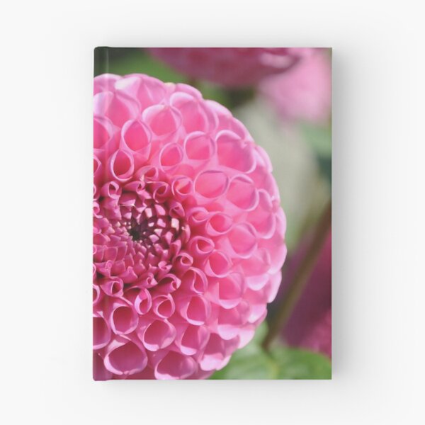 Item preview, Pink Dahlias designed and sold by KirtTisdale.