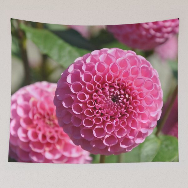 Item preview, Pink Dahlias designed and sold by KirtTisdale.