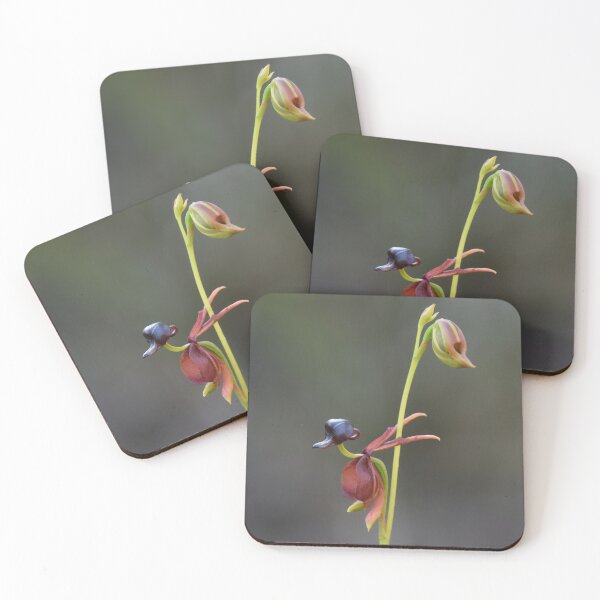 Item preview, Duck Orchid designed and sold by lhowden.