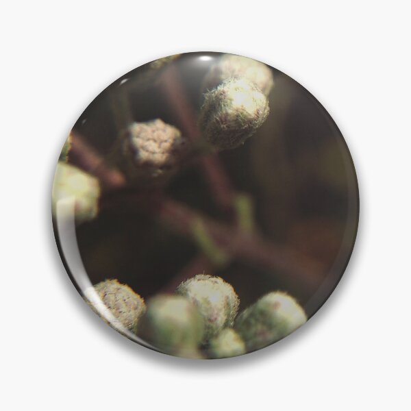 Item preview, Mossy Plant designed and sold by Devoncholy.
