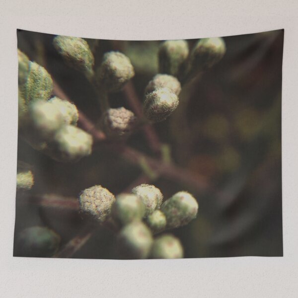 Item preview, Mossy Plant designed and sold by Devoncholy.