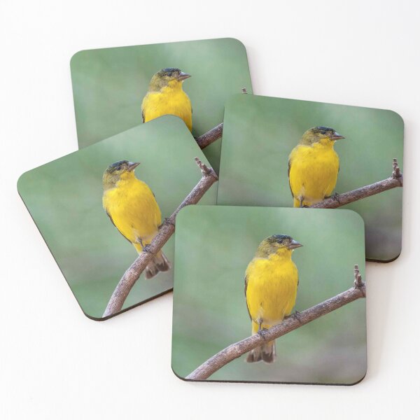 Item preview, Lesser Goldfinch Perched on a Branch designed and sold by Jeff Goulden Photography.
